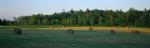 Panoramic-Summer 55-06-00025