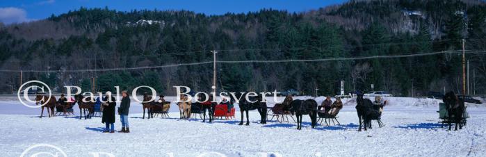 Panoramic-Winter 55-08-00021