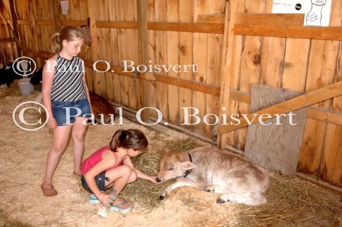 Enosburg Dairy Festival 65-31-00032