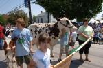 Enosburg Dairy Festival 65-31-00058