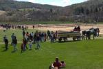 Billings Farm-Plowing Match 65-03-00013