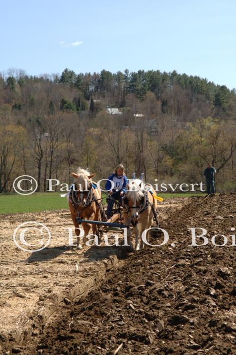 Billings Farm-Plowing Match 65-03-00014