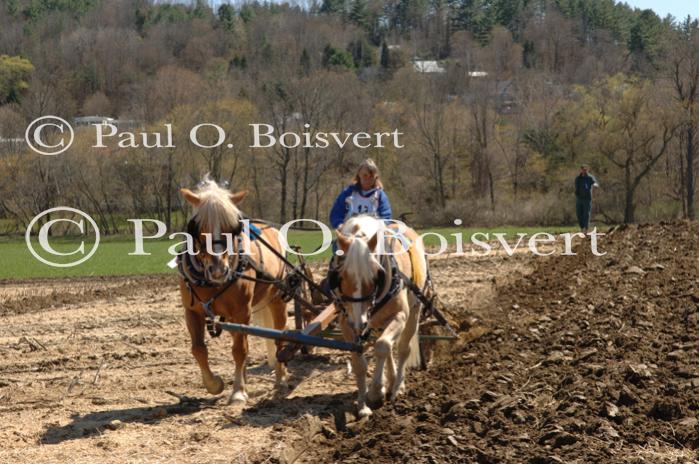 Billings Farm-Plowing Match 65-03-00015