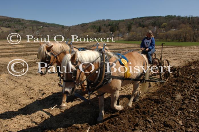 Billings Farm-Plowing Match 65-03-00017