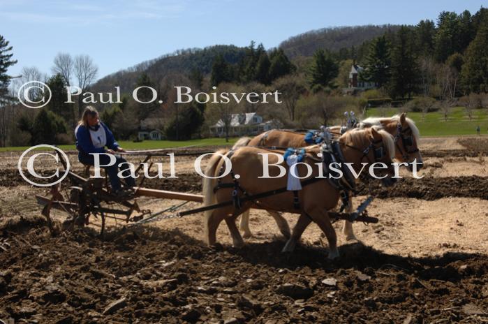 Billings Farm-Plowing Match 65-03-00021