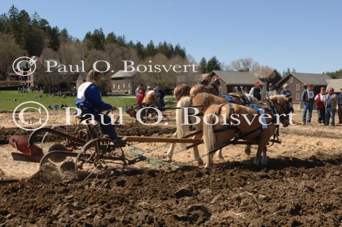 Billings Farm-Plowing Match 65-03-00023