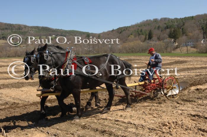 Billings Farm-Plowing Match 65-03-00027