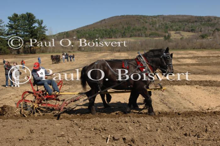 Billings Farm-Plowing Match 65-03-00028