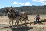 Billings Farm-Plowing Match 65-03-00041