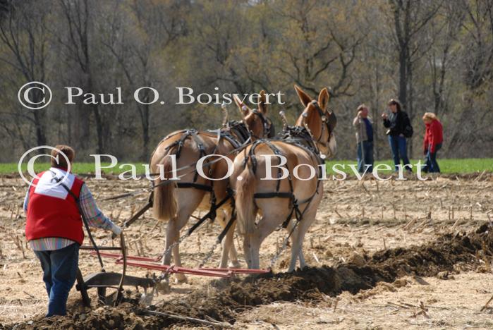 Billings Farm-Plowing Match 65-03-00045