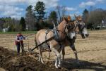 Billings Farm-Plowing Match 65-03-00048