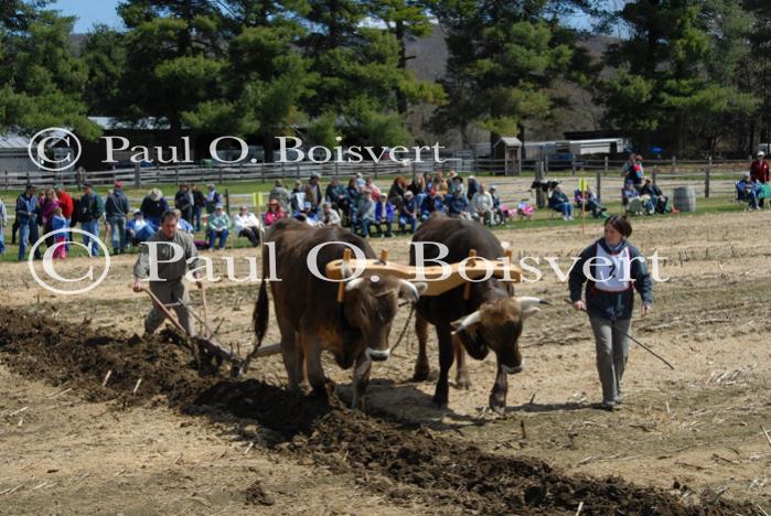 Billings Farm-Plowing Match 65-03-00049