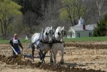 Billings Farm-Plowing Match 65-03-00050