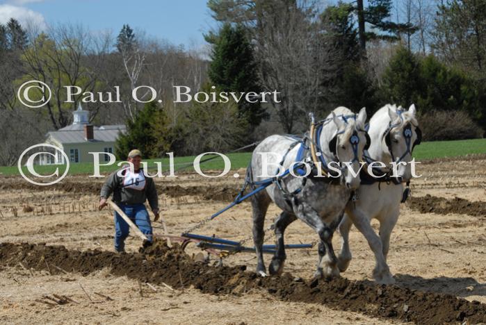 Billings Farm-Plowing Match 65-03-00051