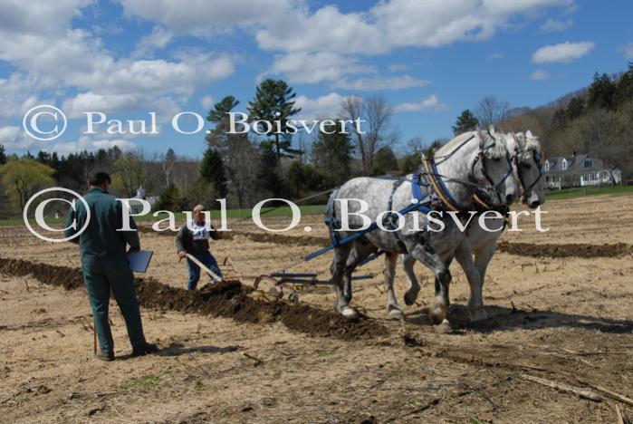 Billings Farm-Plowing Match 65-03-00052