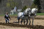 Billings Farm-Plowing Match 65-03-00055