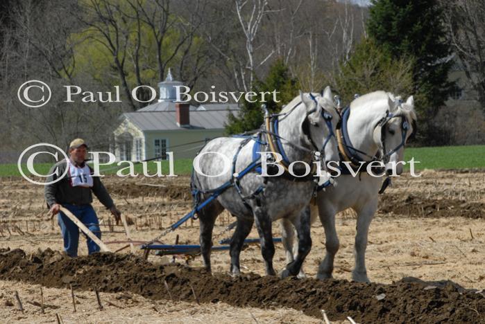 Billings Farm-Plowing Match 65-03-00055