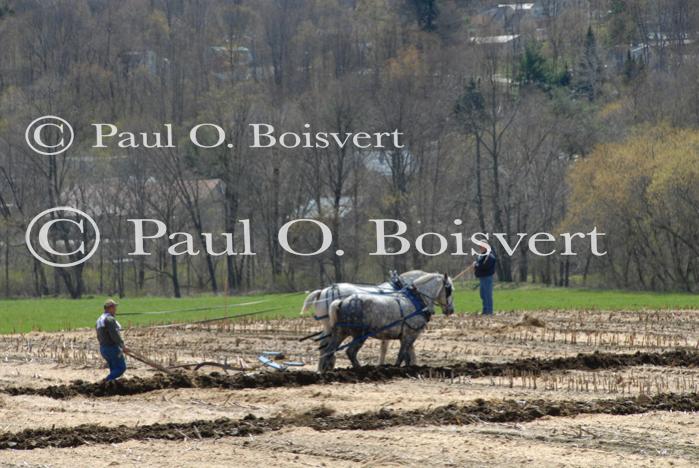 Billings Farm-Plowing Match 65-03-00057