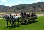 Billings Farm-Plowing Match 65-03-00059