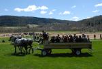 Billings Farm-Plowing Match 65-03-00061