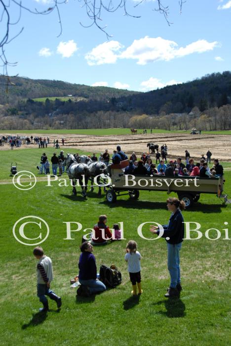 Billings Farm-Plowing Match 65-03-00064