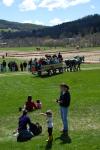 Billings Farm-Plowing Match 65-03-00065