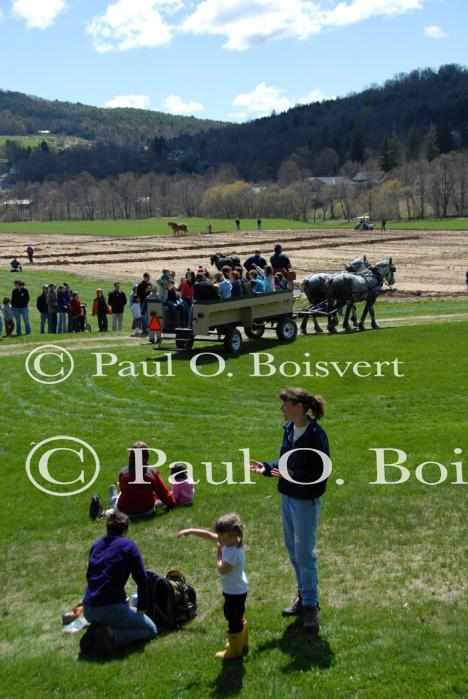 Billings Farm-Plowing Match 65-03-00065