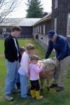 Billings Farm-Plowing Match 65-03-00067