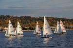 Sports-Sail 75-45-09113