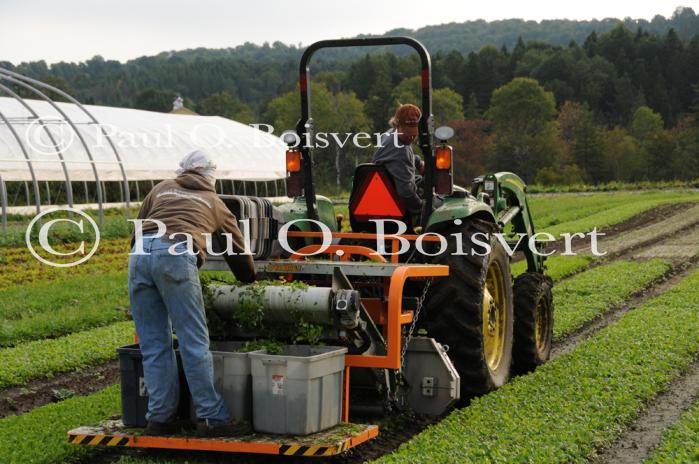 Farm-Garden 30-15-02257