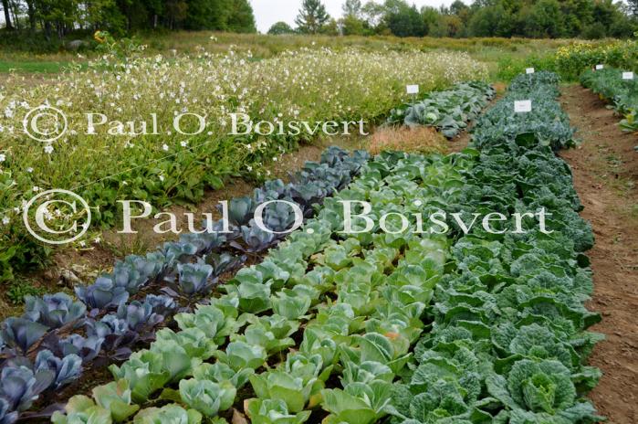 Farm-Garden 30-15-02267