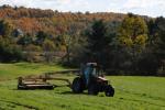 Farm-Fall 30-10-07345