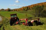 Farm-Fall 30-10-07346