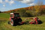 Farm-Fall 30-10-07347