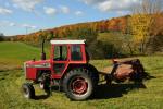 Farm-Fall 30-10-07348