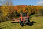 Farm-Fall 30-10-07349