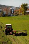 Farm-Fall 30-10-07352