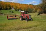 Farm-Fall 30-10-07355