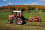 Farm-Fall 30-10-07357