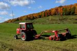 Farm-Fall 30-10-07358