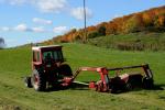 Farm-Fall 30-10-07359