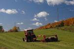 Farm-Fall 30-10-07361