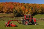 Farm-Fall 30-10-07363