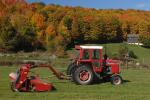 Farm-Fall 30-10-07364