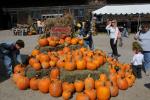 Farm-Shelburne Farms 30-25-02076