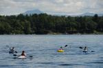 Sports-Canoe-Kayak 75-15-02235