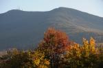 Scenery-Fall 70-05-14342