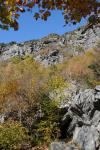 Scenery-Fall 70-05-14346