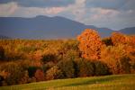 Scenery-Fall 70-05-14364