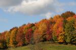 Scenery-Fall 70-05-14374